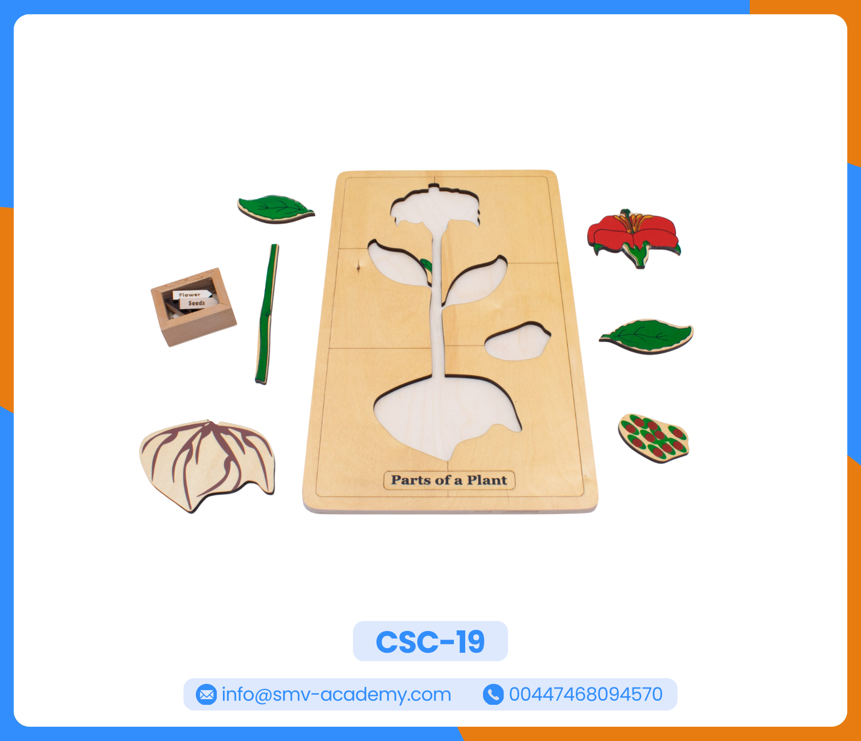 بازل أجزاء النبات - Parts of a Plant Puzzle